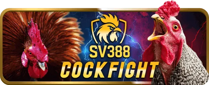 Hình ảnh chương trình VIP và các ưu đãi độc quyền tại Mu90